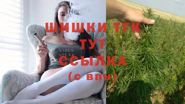 молекула духа Мегион