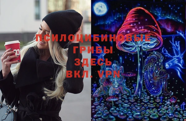 мет Медвежьегорск