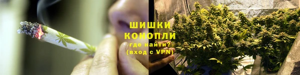 молекула духа Мегион