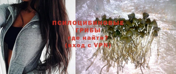 молекула духа Мегион
