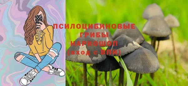 трава Медногорск