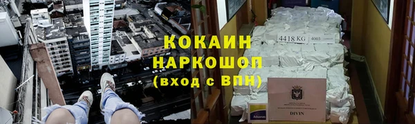 молекула духа Мегион